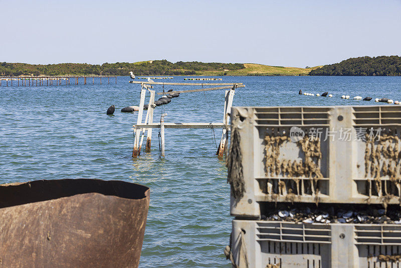 oyster farm at the Étang de Diane on the French island of Corsica